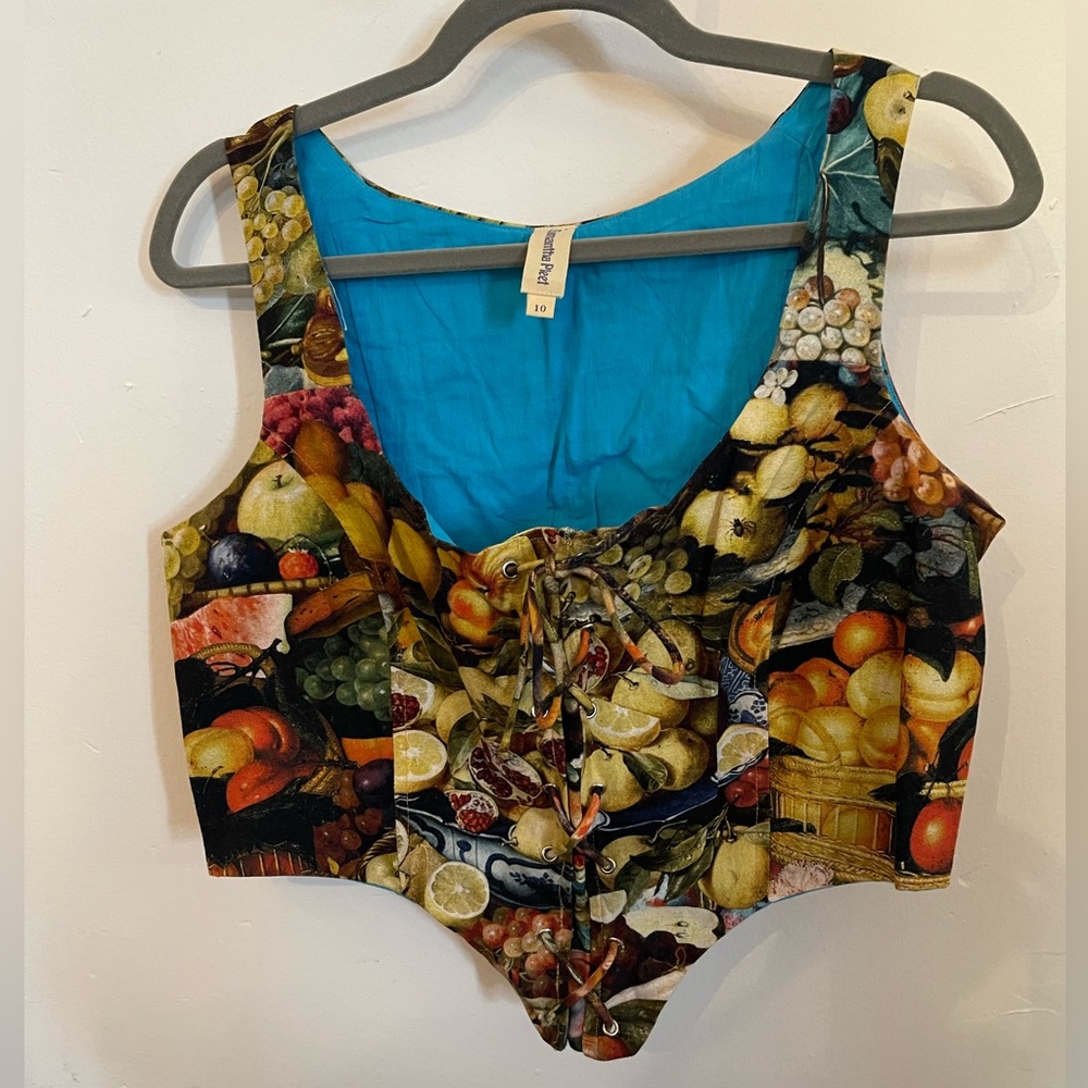 Samantha Pleet Harvest Corset Top Size 10